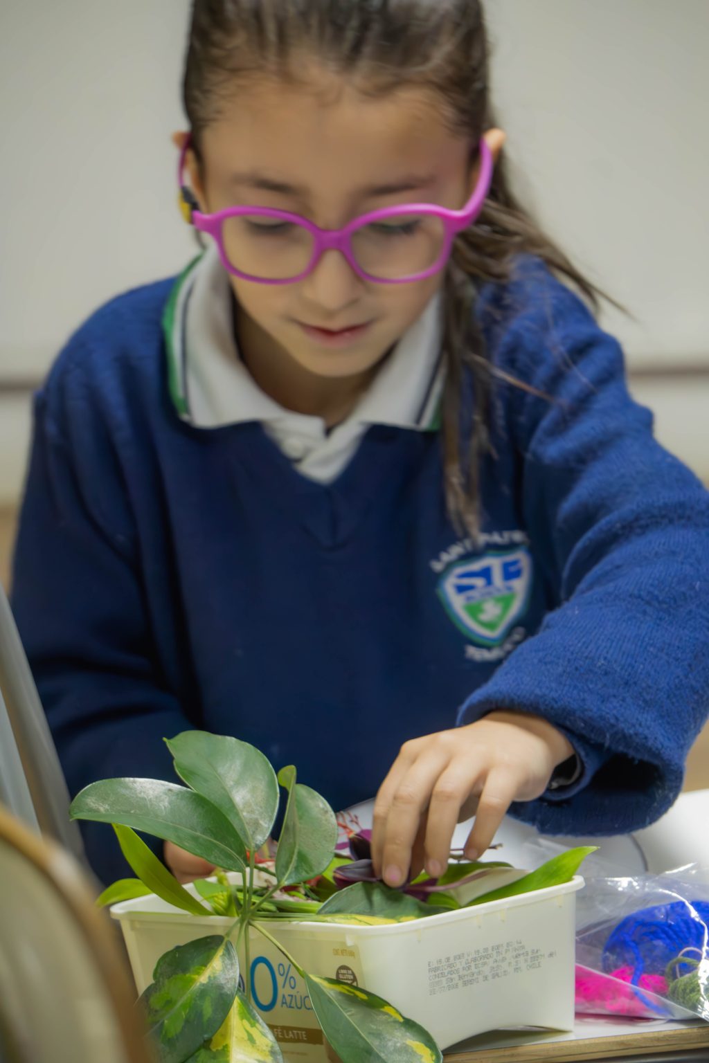 DSC07001-Mejorado-NR