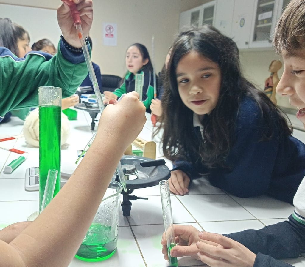 WhatsApp Image 2025-06-26 at 12.06.39