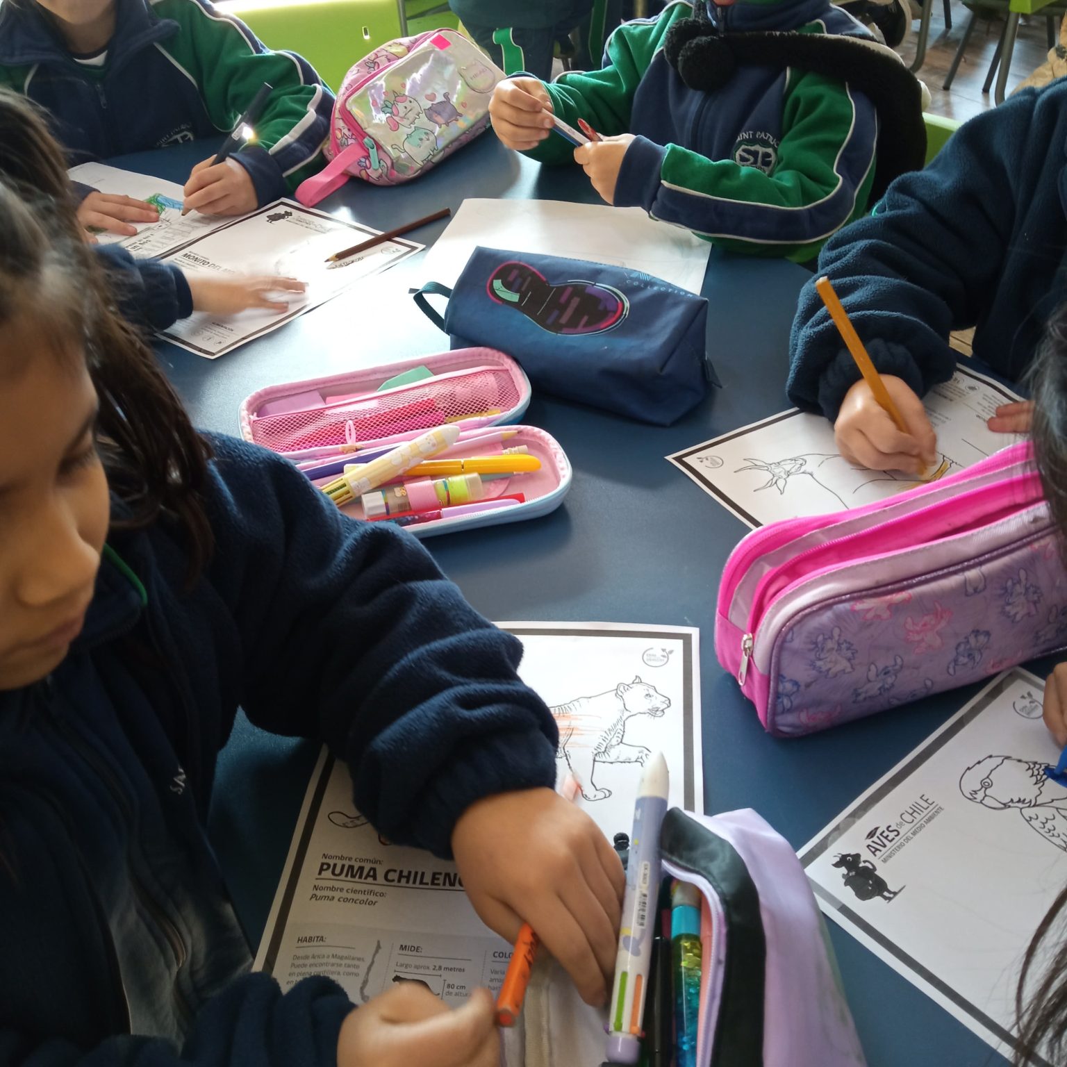 Imagen de WhatsApp 2025-07-01 a las 11.54.02_9914c349