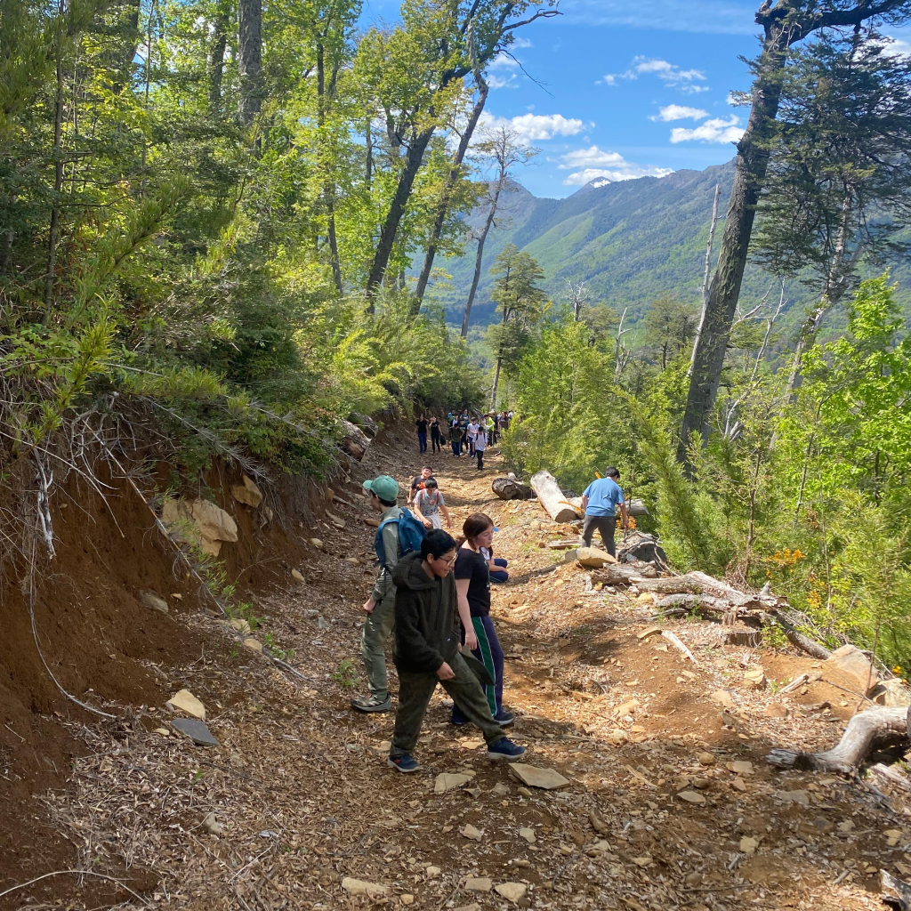 Imagen de WhatsApp 2025-11-04 a las 09.47.28_bf18f042