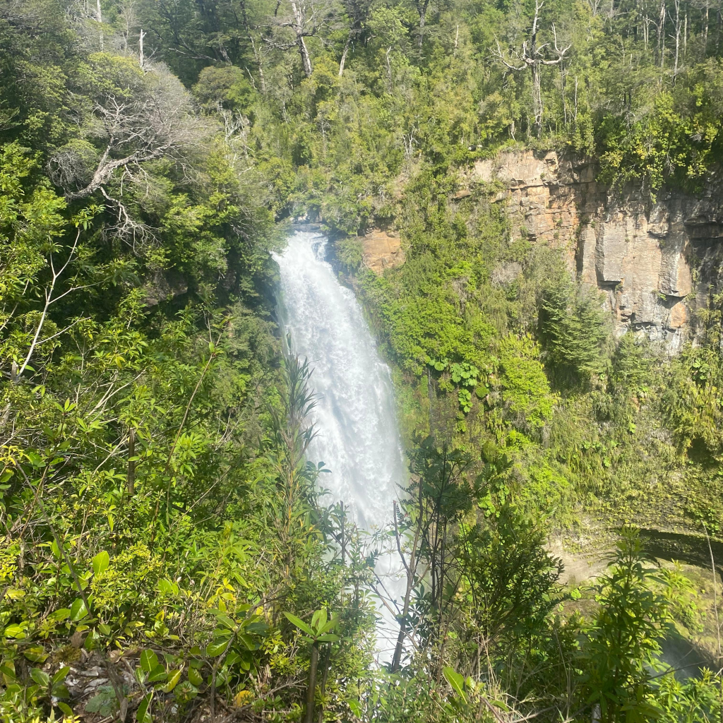 Imagen de WhatsApp 2025-11-04 a las 09.47.32_b5f89c32