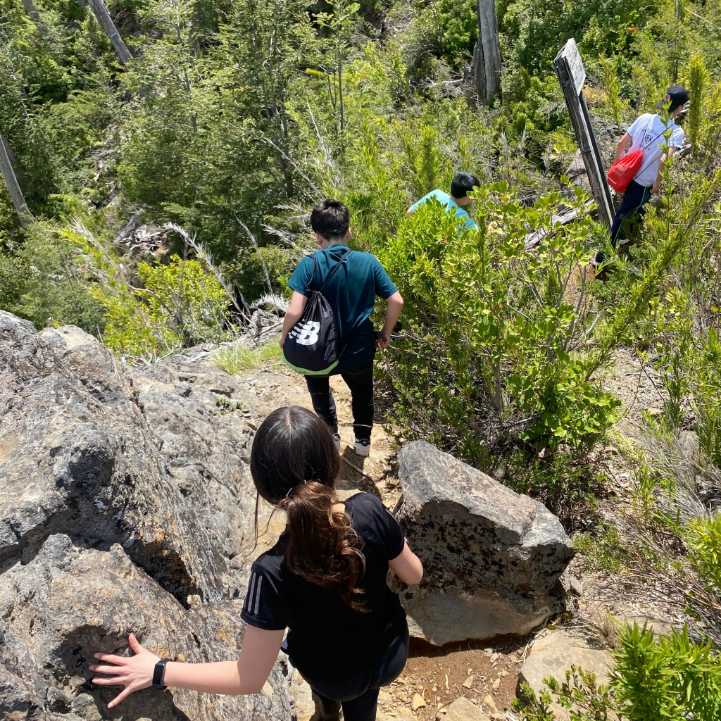 Imagen de WhatsApp 2025-11-04 a las 09.48.09_9a8c1a9c