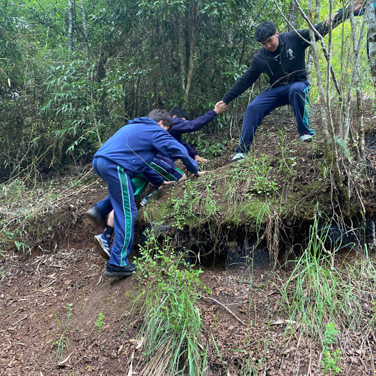 Imagen de WhatsApp 2025-11-10 a las 10.09.43_a4d574ff