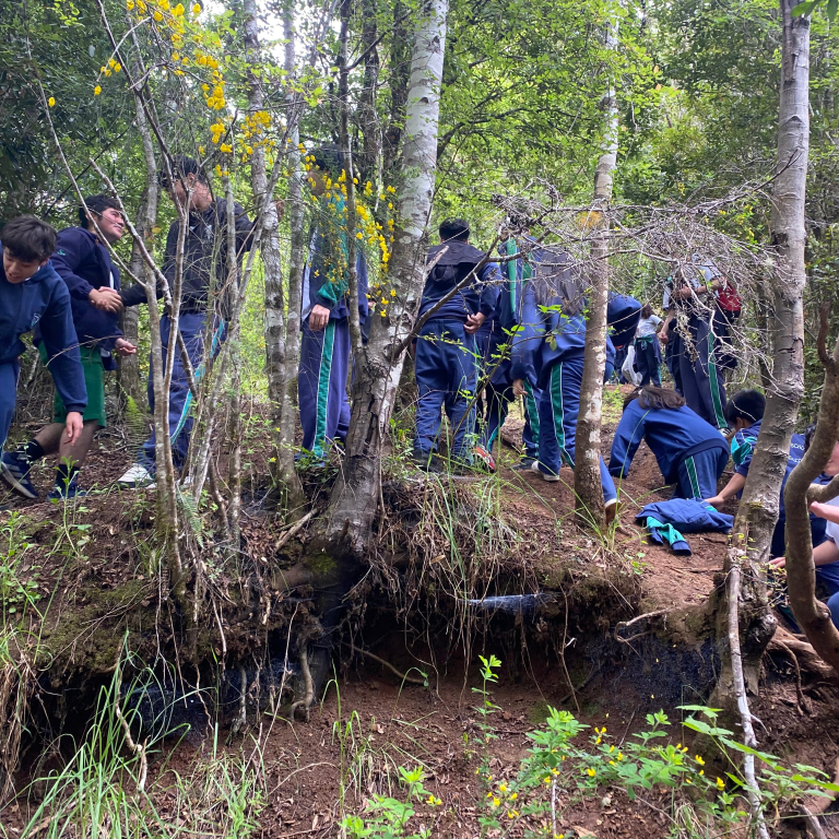 Imagen de WhatsApp 2025-11-10 a las 10.09.44_0d22042f